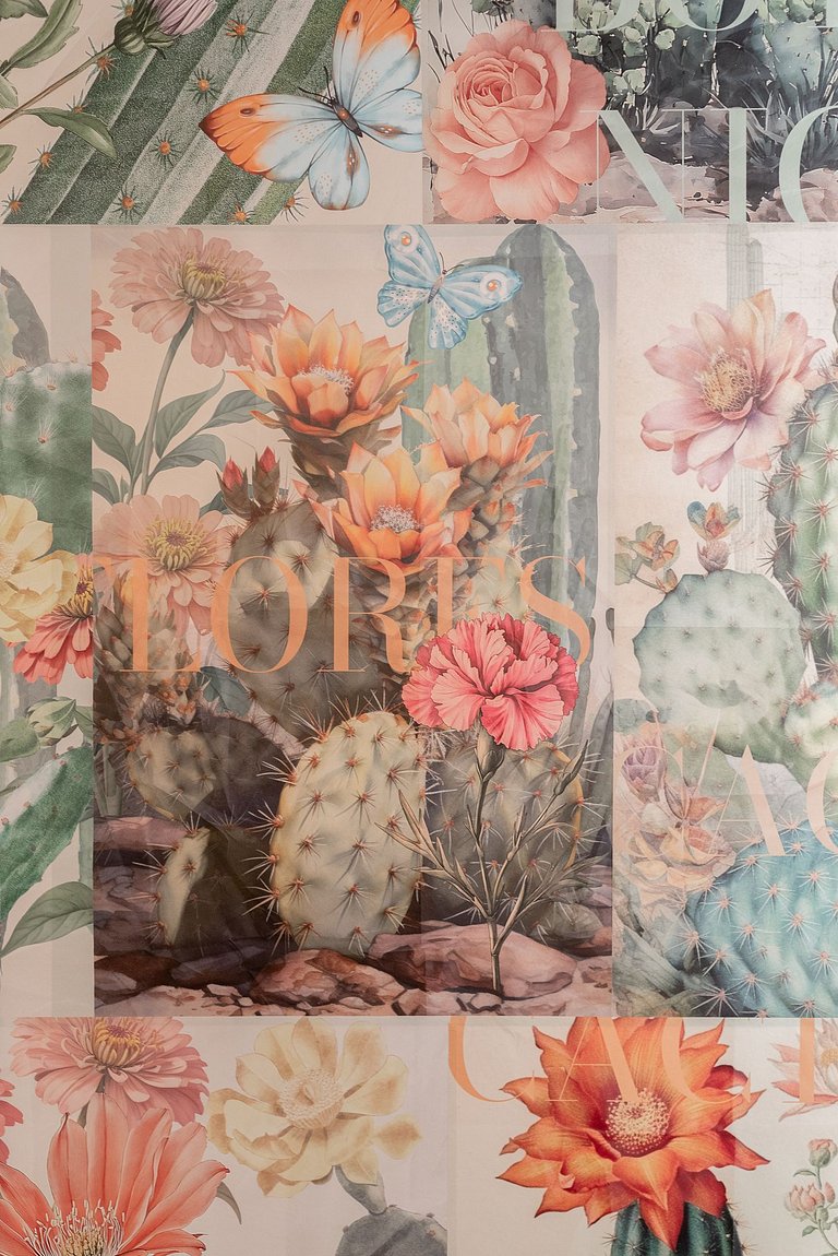 Serra Morena | Design & Conforto na Cidade Baixa